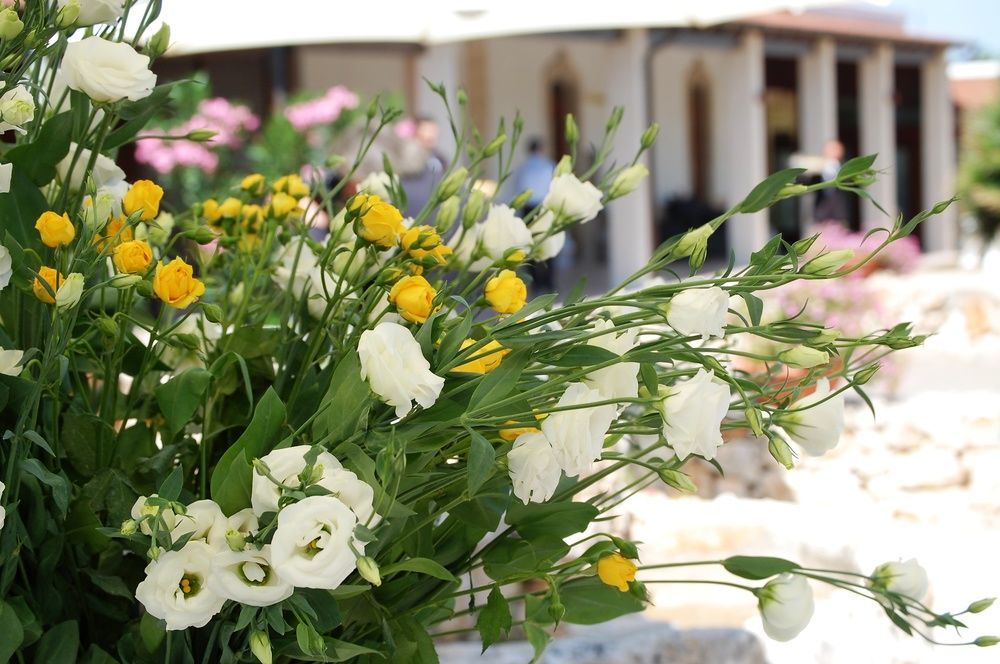 Hotel Masseria La Grande Quercia Mottola Esterno foto